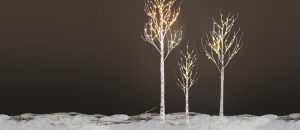 Christmas Decor Series: Christmas Trees Ideas