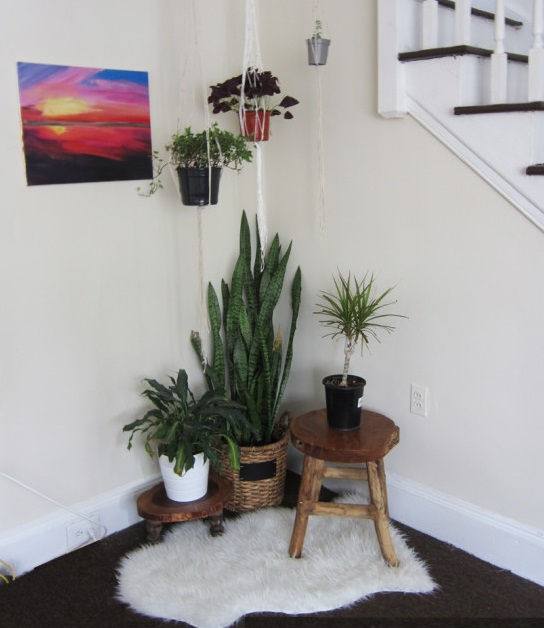 DIY Plant Stand - Decorating With Plants